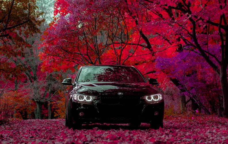 photo 1558486799 ebad18202175