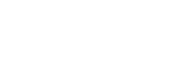 wicar marca frota